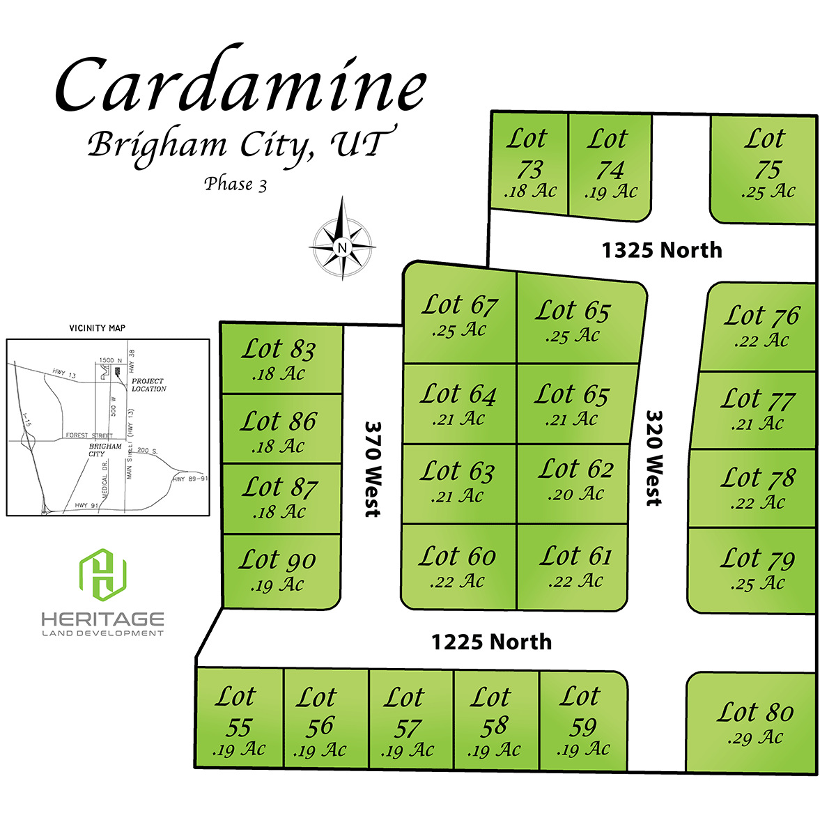 Cardamine Phase 3